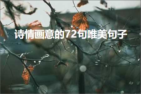 德阳网站推广 诗情画意的72句唯美句子（文案692条）